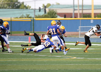 Eagles v. Andrew 9-6-13