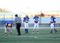 Eagles v Bolingbrook 10-25-13